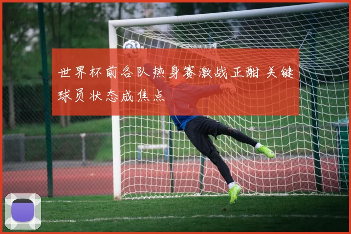 世界杯前各队热身赛激战正酣 关键球员状态成焦点