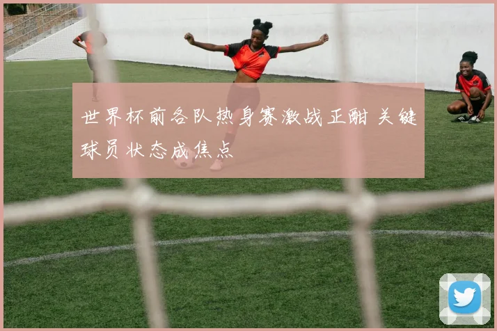 世界杯前各队热身赛激战正酣 关键球员状态成焦点