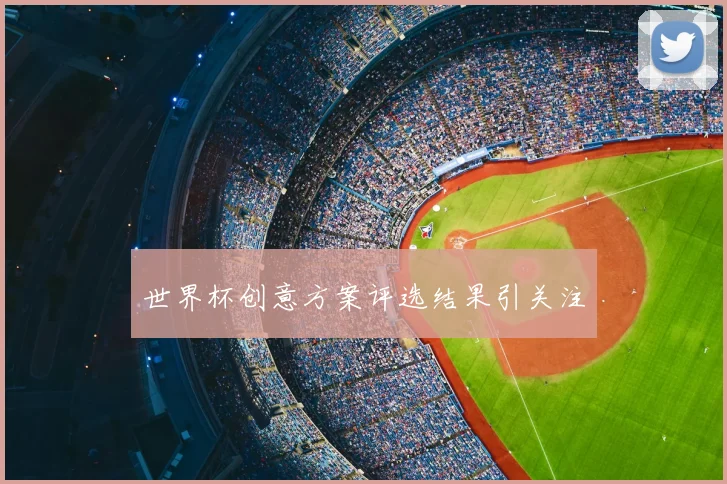 世界杯创意方案评选结果引关注